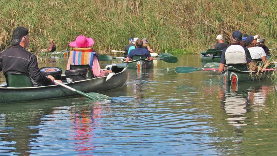 Addo River Safari - Guided Tour via Canoe - A gentle outing, not an adrenaline ride