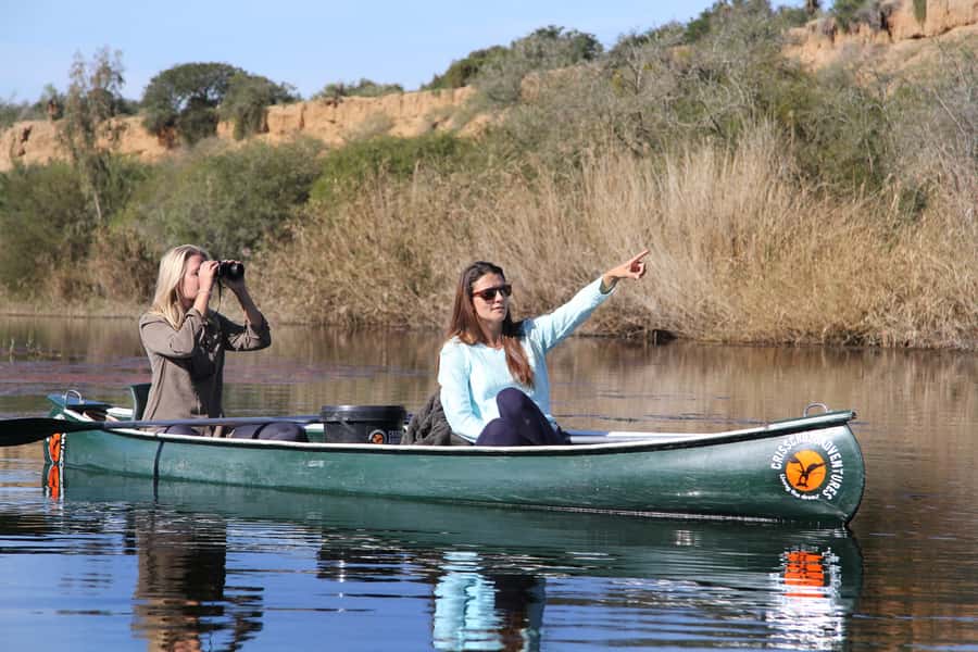 Addo River Safari - Guided Tour via Canoe - What the 150-minute canoe route feels like