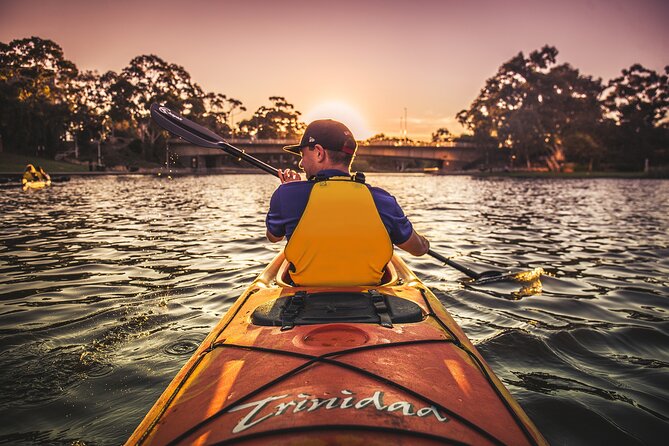 Adelaide City Kayak Tour - Why the River Torrens is the right place for a city kayak tour