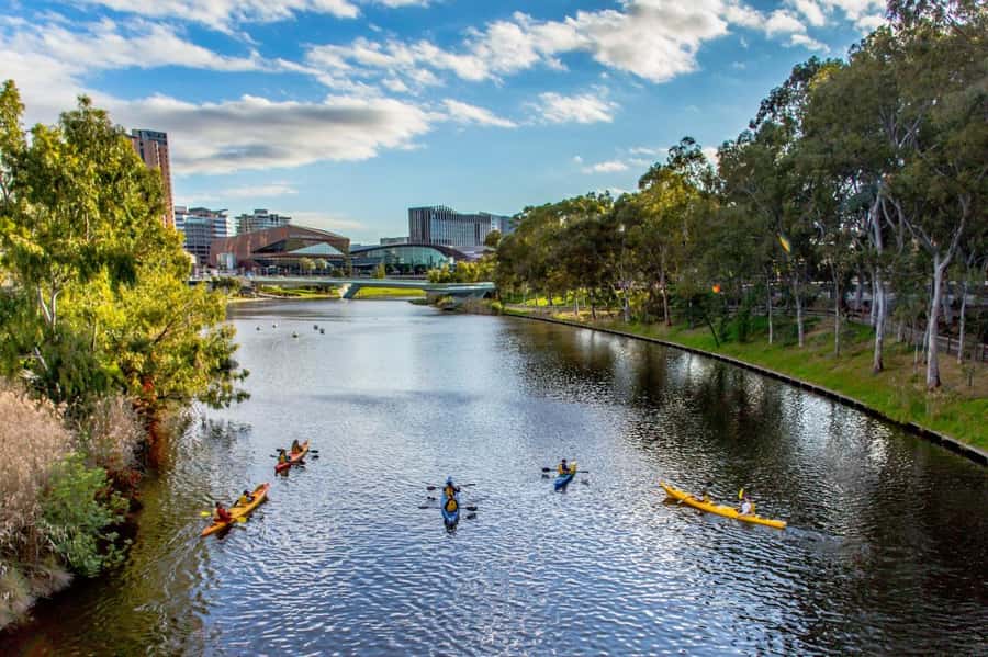 Adelaide: City Kayaking Experience - What the guide adds to the experience