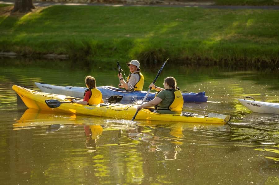 Adelaide: City Kayaking Experience - What to bring to Pinky Flat