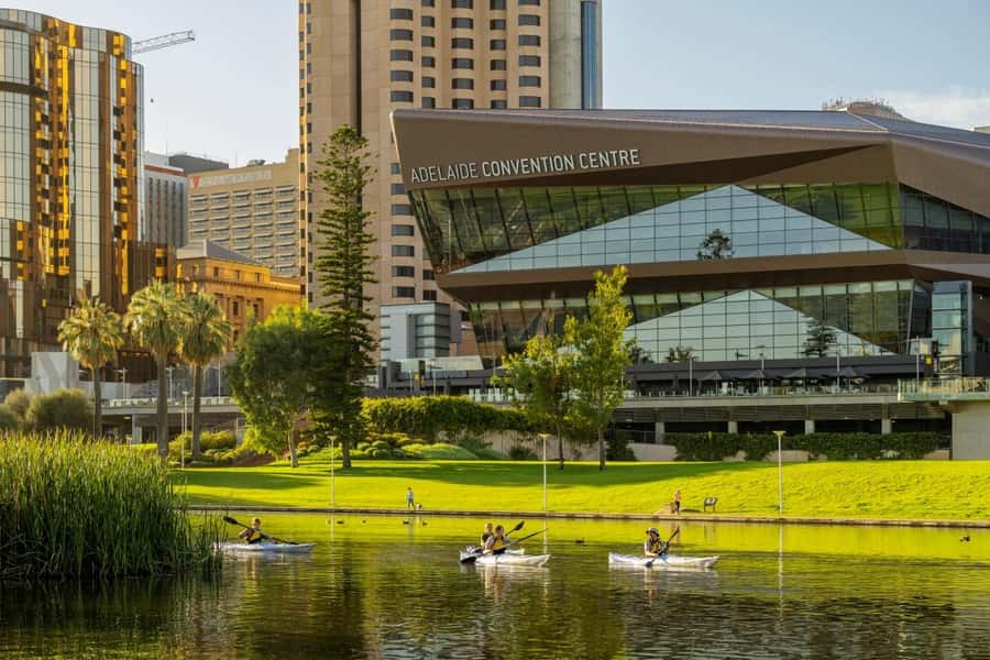 Adelaide: City Kayaking Experience - Conditions, comfort, and small practical limits