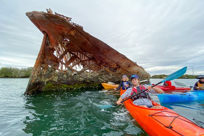 Adelaide Dolphin Sanctuary and Ships Graveyard Kayak Tour - Guide quality and group size
