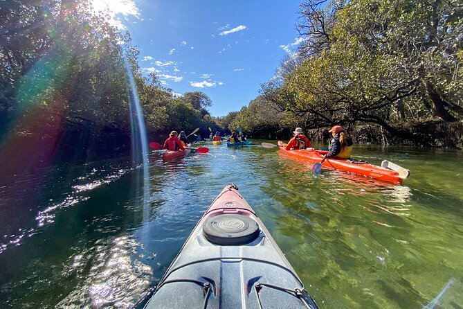 Adelaide Dolphin Sanctuary and Ships Graveyard Kayak Tour - A calm-water lesson for first-time kayakers