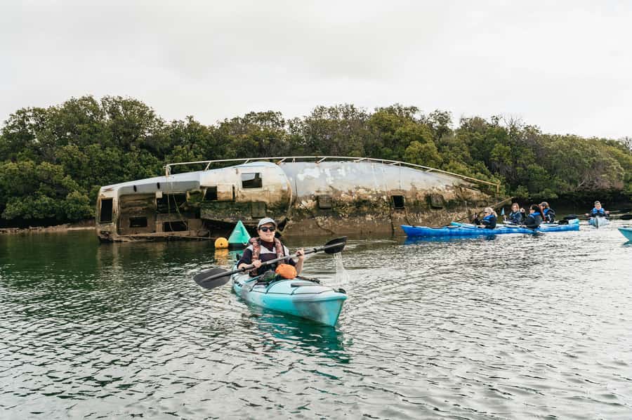 Adelaide: Dolphin Sanctuary Eco Kayaking Tour - Through the mangrove creeks and tidal flats