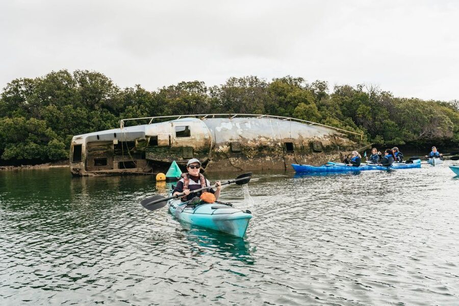Adelaide: Dolphin Sanctuary Eco Kayaking Tour - Who will enjoy this three-hour paddle most