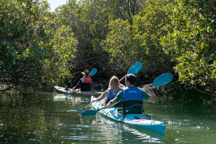 Adelaide: Dolphin Sanctuary Eco Kayaking Tour - Meeting at Angas Inlet Boat Club