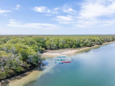 Dolphin Sanctuary Mangroves Kayak Tour