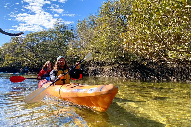 Adelaide Dolphin Sanctuary Mangroves Kayaking Tour - Key points to know before booking