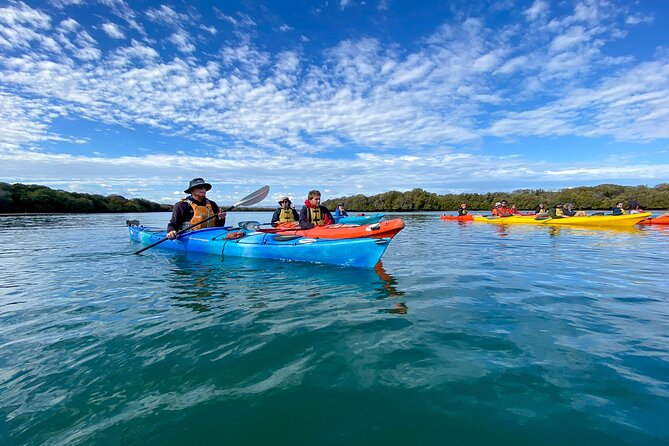Adelaide Dolphin Sanctuary Mangroves Kayaking Tour - Paddling through the Adelaide Dolphin Sanctuary