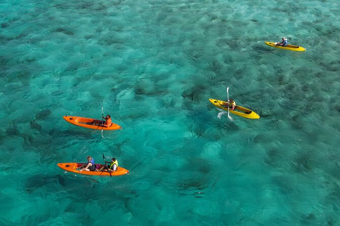 Adventurous Clear Kayak And Snorkeling Tour At Mangel Halto - What the two-hour outing includes