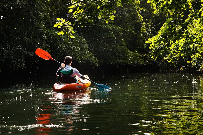 Afternoon Guided Kayak Tour on the Tamarin River - Sunset light and natural scenery