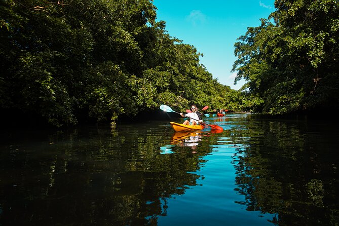 Afternoon Guided Kayak Tour on the Tamarin River - Meeting the guide at Tamarin Bay Surfschool
