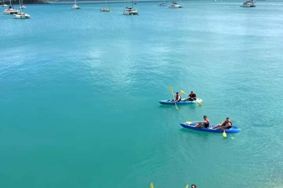 Airlie Beach: Half Day Turtle Tour Sea Kayaking Adventure - Setting out from Shingley Beach