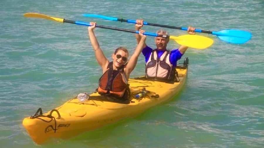 Airlie Beach: Half Day Turtle Tour Sea Kayaking Adventure - Looking for turtles and bird life