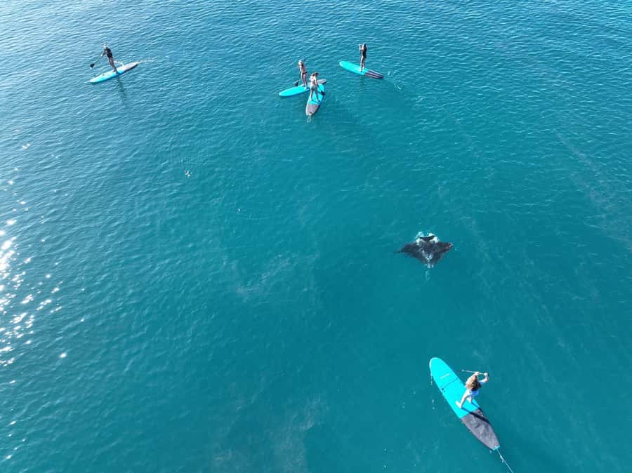 Airlie Beach: Whitsunday Islands Sailing, SUP & Snorkel Tour - Sailing back through the island passage