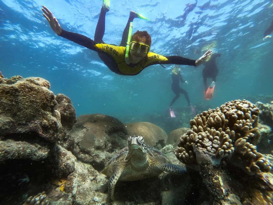 Airlie Beach: Whitsunday Islands Sailing, SUP & Snorkel Tour - What to bring, and what not to forget