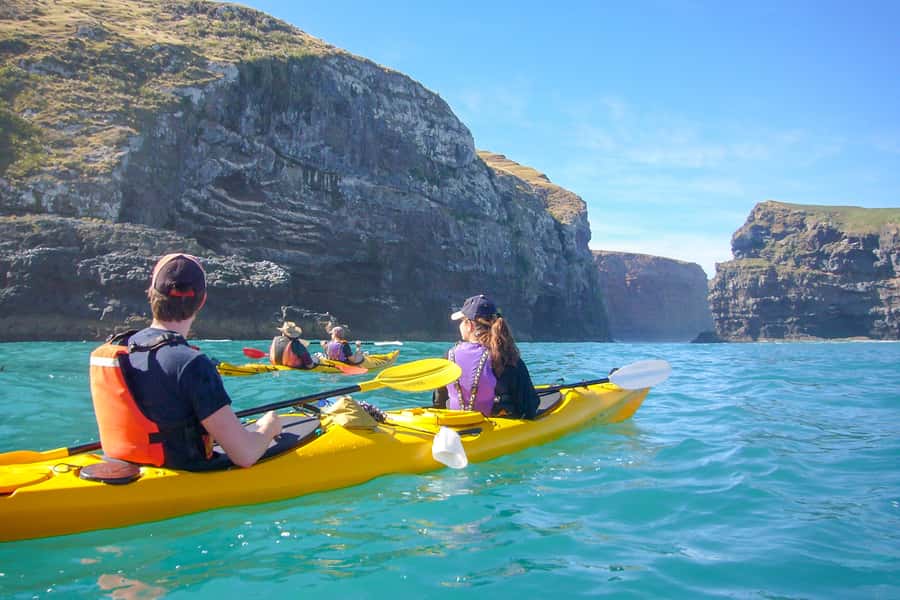 Akaroa: 4WD Safari and Guided Sea-Kayaking Experience - Key points to know before you book