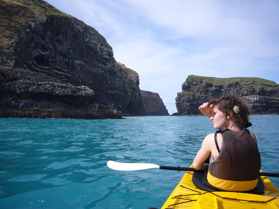 Akaroa: 4WD Safari and Guided Sea-Kayaking Experience - Who will enjoy this most?