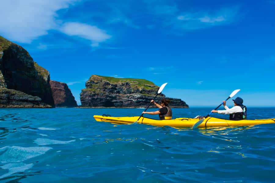 Akaroa: 4WD Safari and Guided Sea-Kayaking Experience - Is $80 good value?
