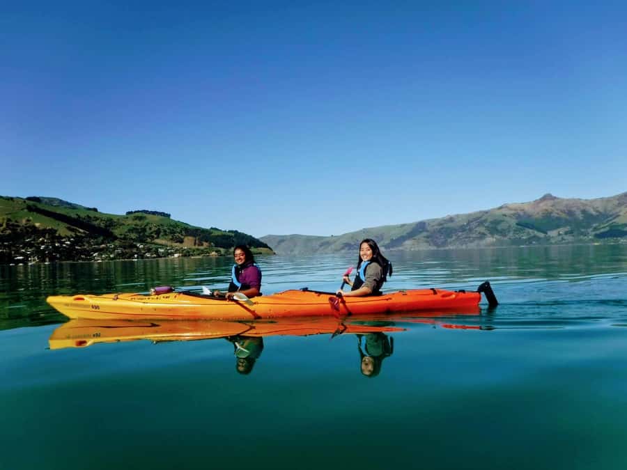 Akaroa: Akaroa Marine Reserve Sea Kayaking Tour - Paddling inside Akaroa’s volcanic crater