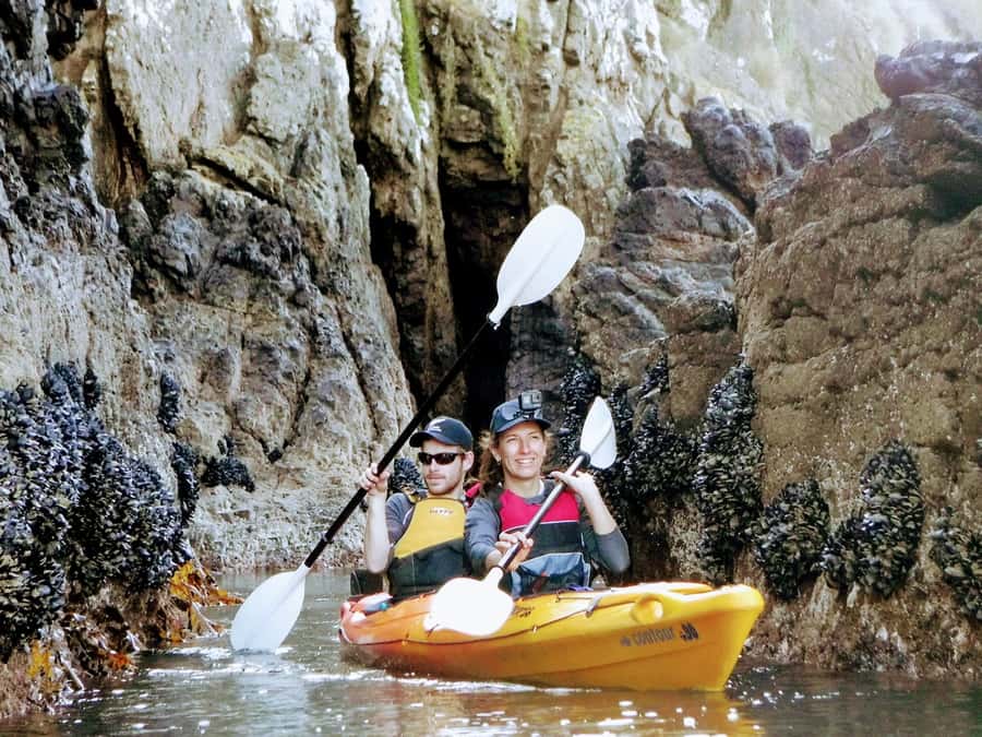 Akaroa: Akaroa Marine Reserve Sea Kayaking Tour - Why the guide makes such a difference