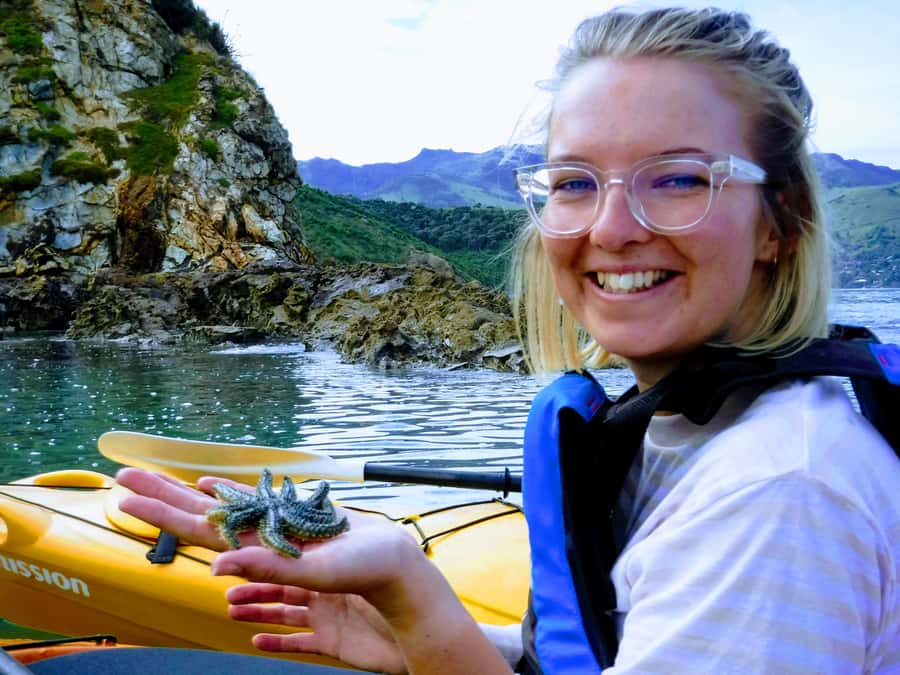 Akaroa: Akaroa Marine Reserve Sea Kayaking Tour - The workout, the weather, and your comfort