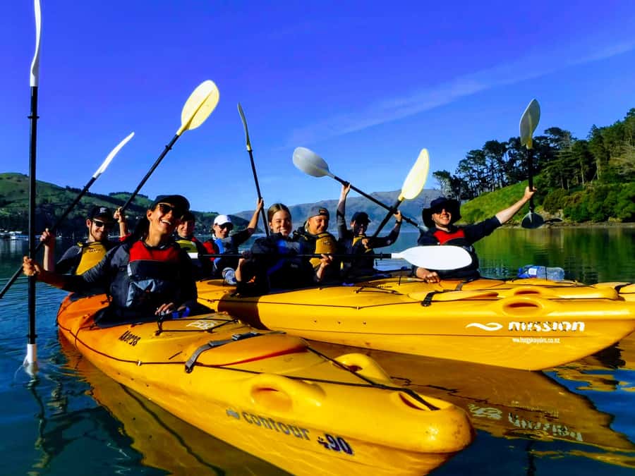 Akaroa: Akaroa Marine Reserve Sea Kayaking Tour - What you get for $80