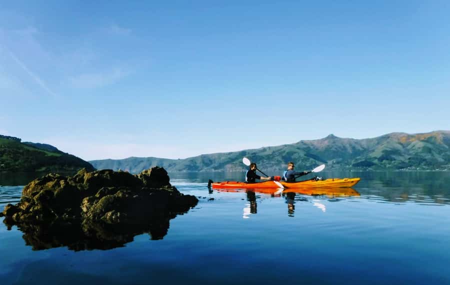 Akaroa: Akaroa Marine Reserve Sea Kayaking Tour - What the 150 minutes feels like