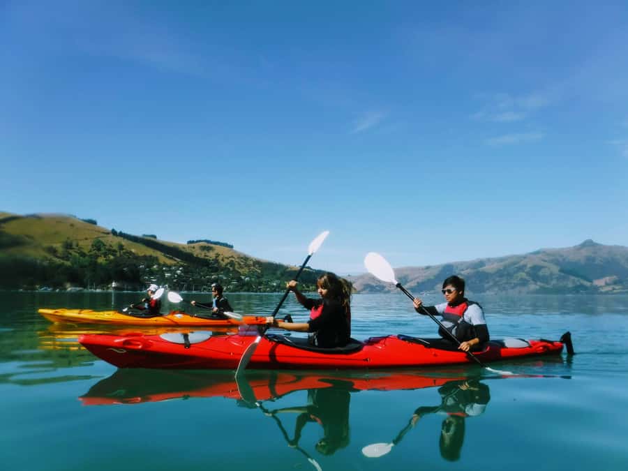 Akaroa: Guided Sunrise Sea Kayaking Tour - Key points to know before booking