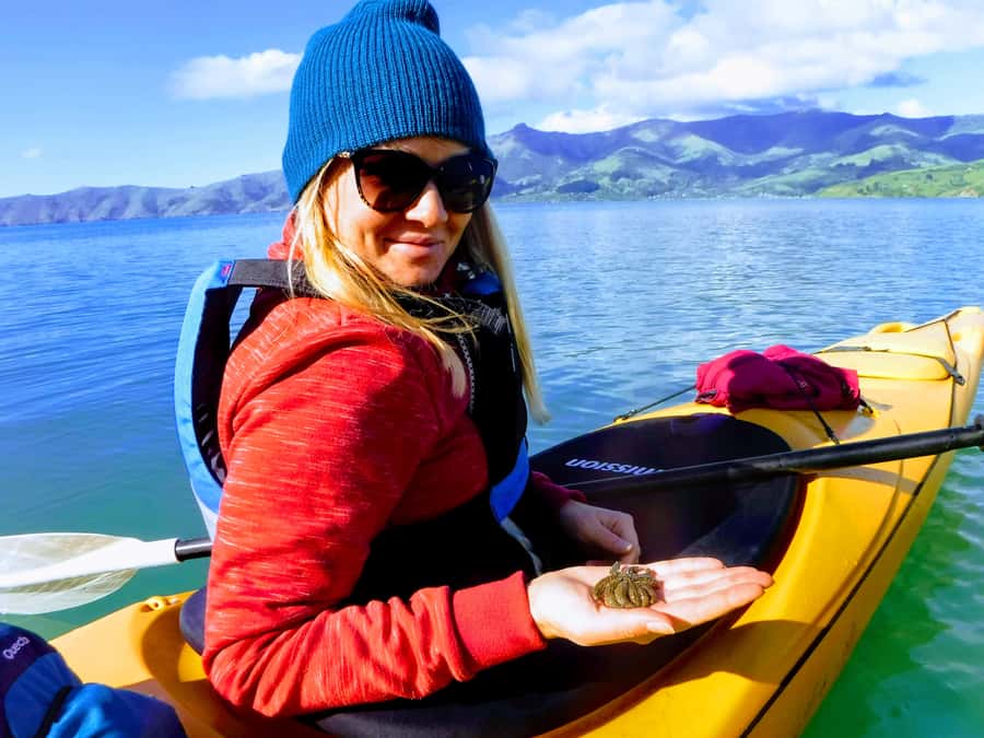 Akaroa: Guided Sunrise Sea Kayaking Tour - Why sunrise makes Akaroa Harbour special