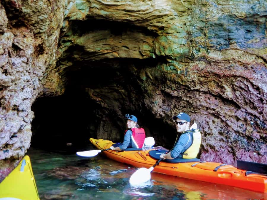 Akaroa: Guided Sunrise Sea Kayaking Tour - Wildlife encounters in the marine reserve