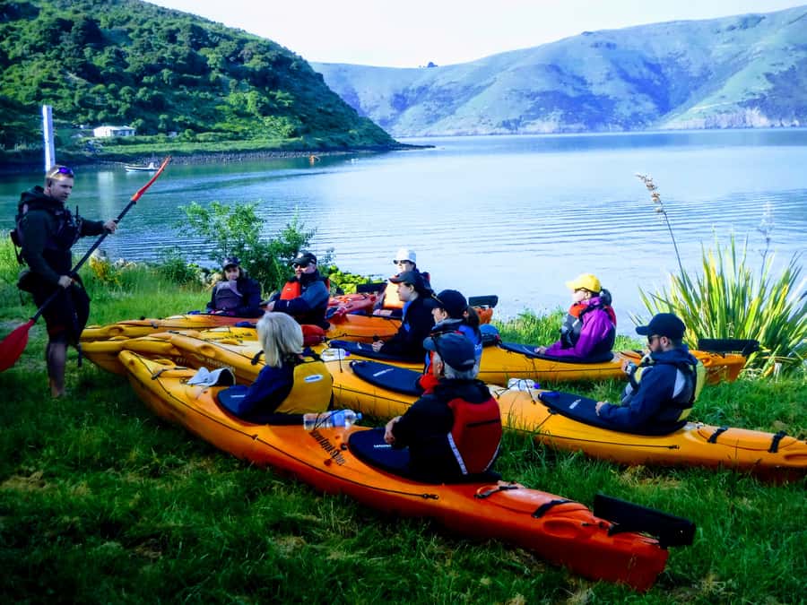 Akaroa: Guided Sunrise Sea Kayaking Tour - How the $92 price measures up