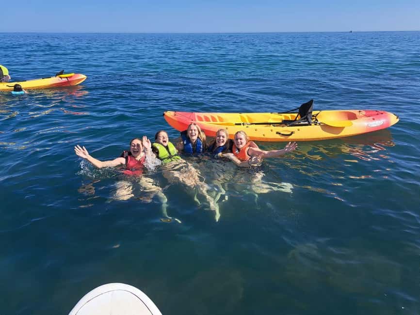 Albufeira: Hidden Beaches & Cliffs Guided Kayak Cave Tour - Caves, tunnels, and rock openings