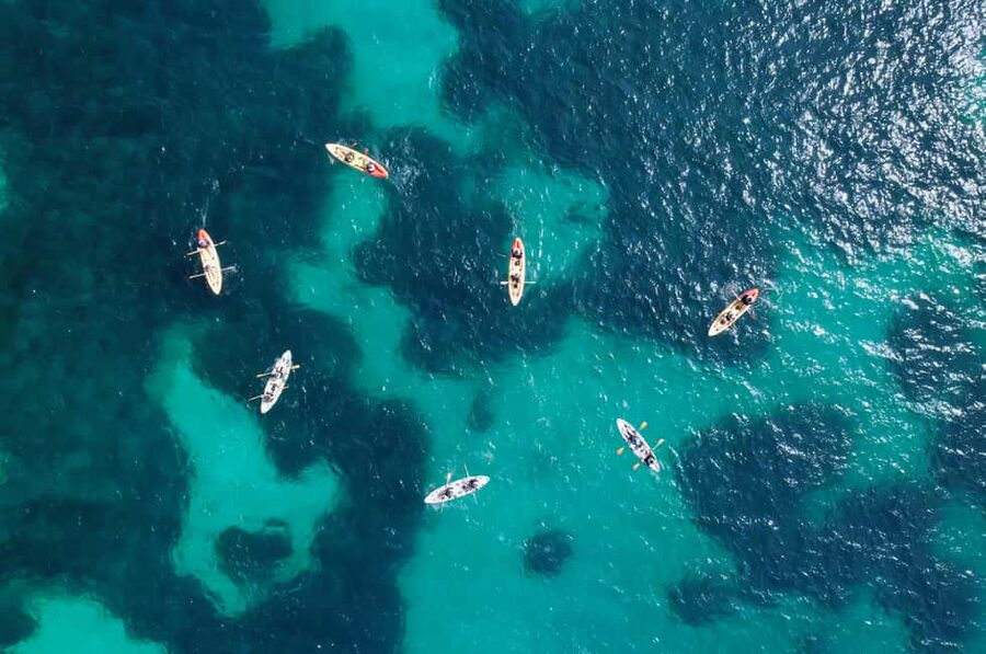 Alcudia: Kayak Tour with Snorkel & Sea Cave Swim - Snorkeling in northern Mallorca’s clear water