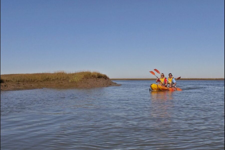 Algarve: 2-Hour Ria Formosa Kayak Tour from Faro - Why the Ria Formosa works so well by kayak