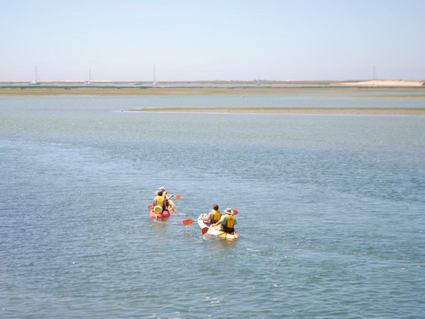 Algarve: 2-Hour Ria Formosa Kayak Tour from Faro - The first hour through the protected channels