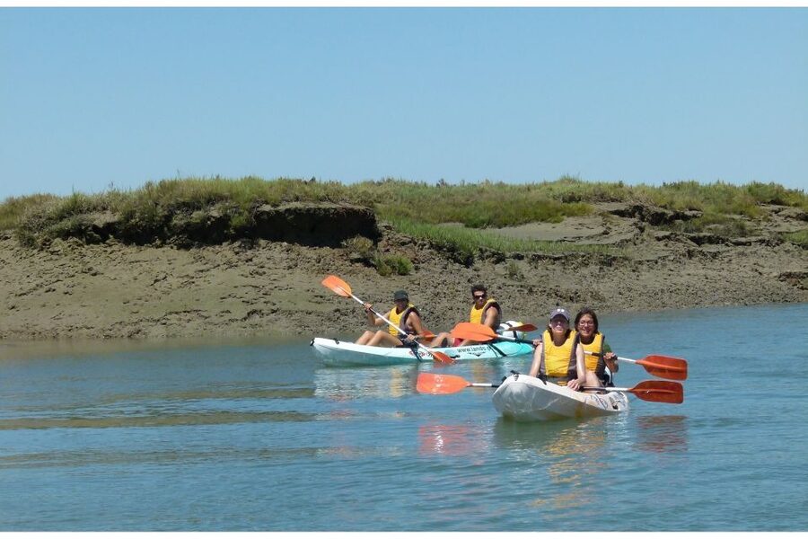 Algarve: 2-Hour Ria Formosa Kayak Tour from Faro - Stopping on an islet