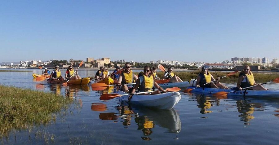 Algarve: 2-Hour Ria Formosa Kayak Tour from Faro - Paddling back with Faro in view