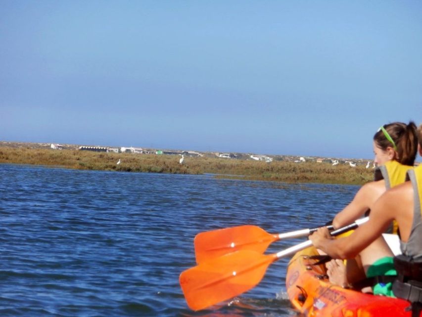 Algarve: 2-Hour Ria Formosa Kayak Tour from Faro - Who should book this kayak tour