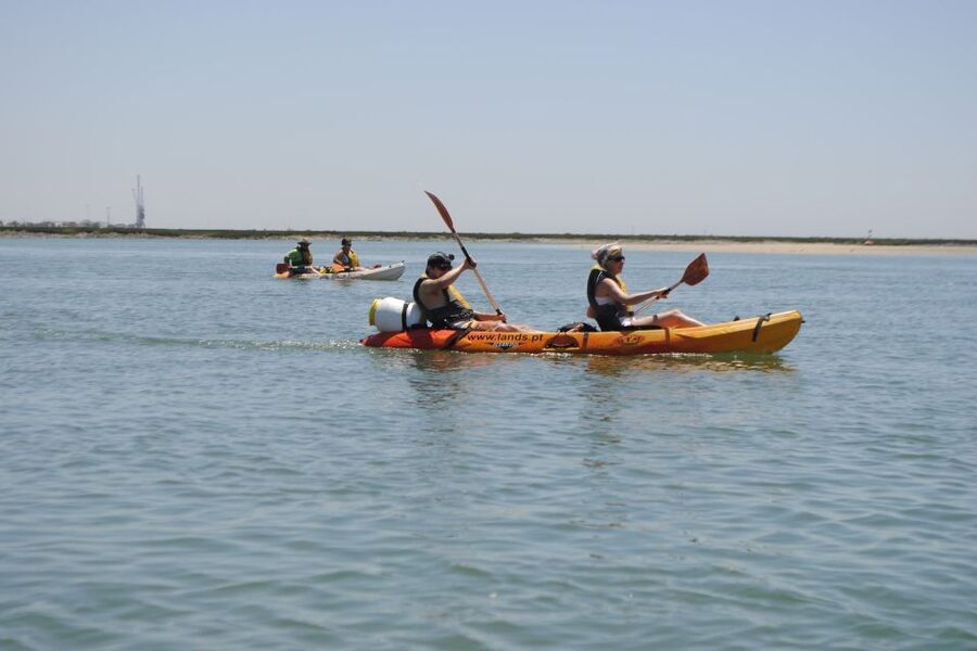 Algarve: 2-Hour Ria Formosa Kayak Tour from Faro - Should you book the Ria Formosa kayak tour?