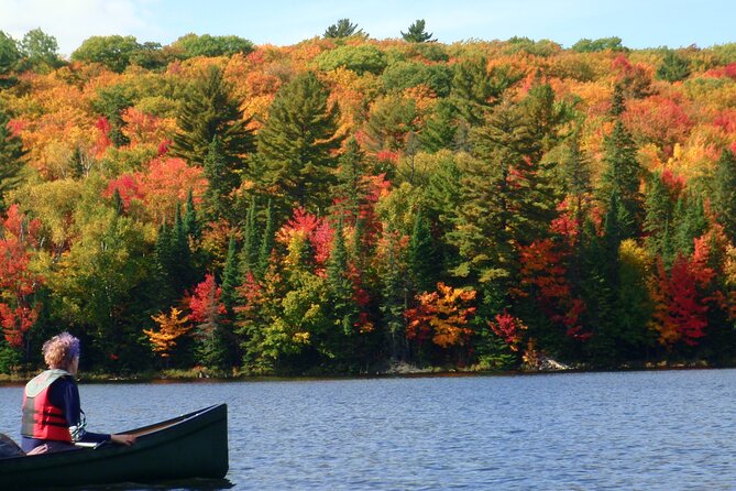 Algonquin Park 3-Day Deluxe Camping & Canoeing Adventure - Paddling into Algonquin on the first afternoon