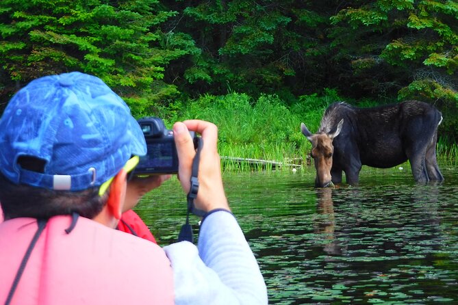 Algonquin Park 3-Day Deluxe Camping & Canoeing Adventure - The sunrise canoe is the trip’s signature moment