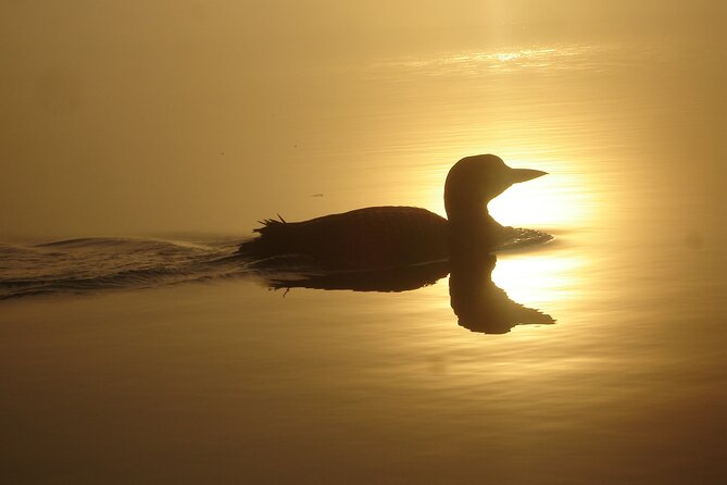 Algonquin Park 3-Day Deluxe Camping & Canoeing Adventure - Who will enjoy this Algonquin adventure?