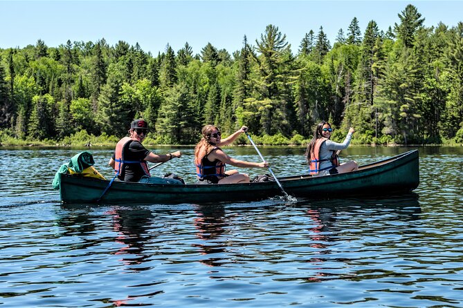 Algonquin Park 3-Day Deluxe Camping & Canoeing Adventure - Day two combines wildlife, paddling, and a hot sauna