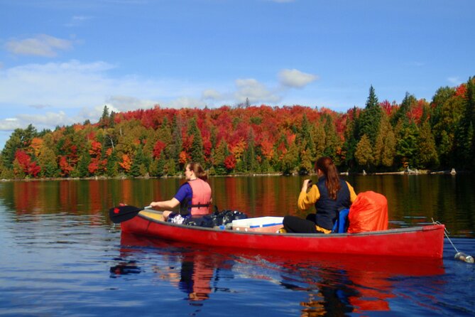 Algonquin Park 4-Day Deluxe Camping & Canoeing Adventure - Key points before you book