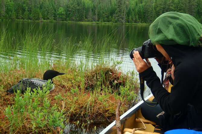 Algonquin Park 4-Day Deluxe Camping & Canoeing Adventure - Why the guide and group matter