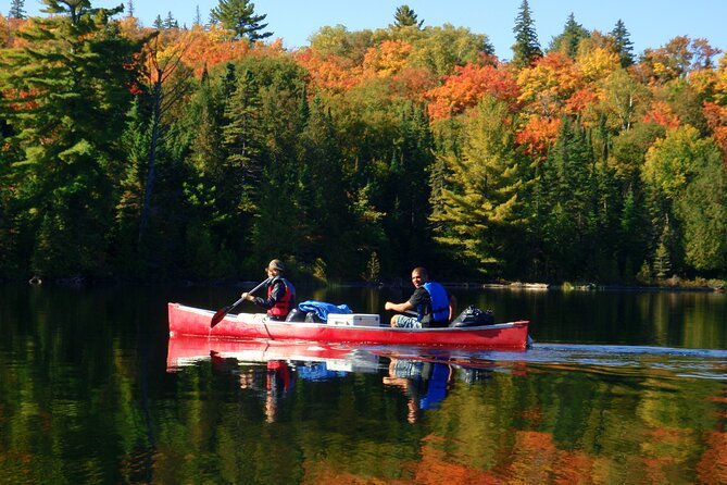 Algonquin Park 4-Day Deluxe Camping & Canoeing Adventure - Day one: paddling into the backcountry