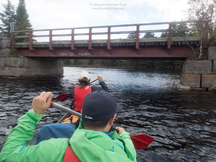 Algonquin Park: Canoe Camping Safari - What $519 buys you over three days