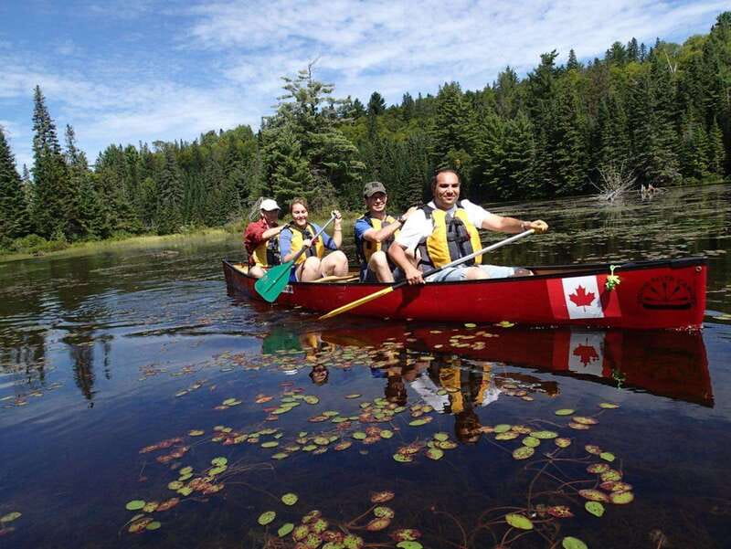 Algonquin Park: Guided Canoe Day Tour - Key points at a glance